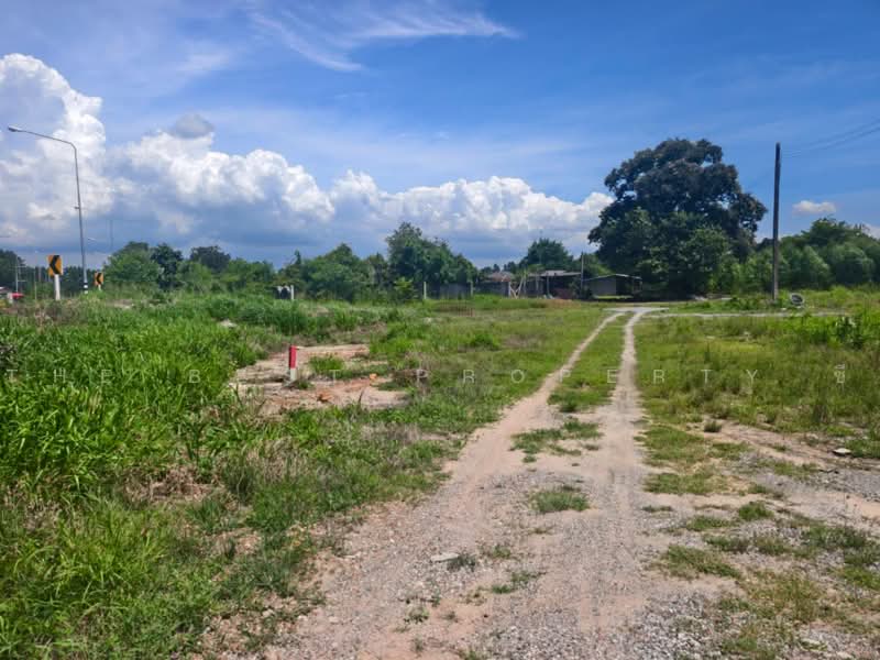 ที่ดินแปลงยาว ฉะเชิงเทรา, ฉะเชิงเทรา, แปลงยาว, ฉะเชิงเทรา, 4,284 ตร.ม., ที่ดิน ขาย, โดย The Best Property ซี, 500492733 - DDproperty.com