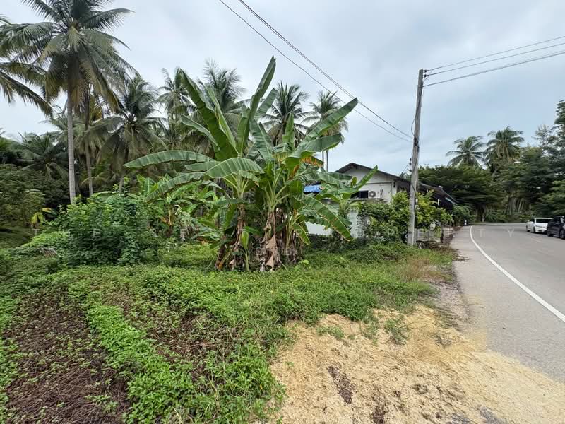 บ้านเดี่ยวพร้อมที่ดินบางคนที สมุทรสงคราม, Samut Songkhram, Bang Yi Rong, Bang Khon Ti, Samut Songkhram, 1 Bedroom, 150 sqm, Single Detached House For Sale, by The Best Property อ้อ, 500492908 - DDproperty.com