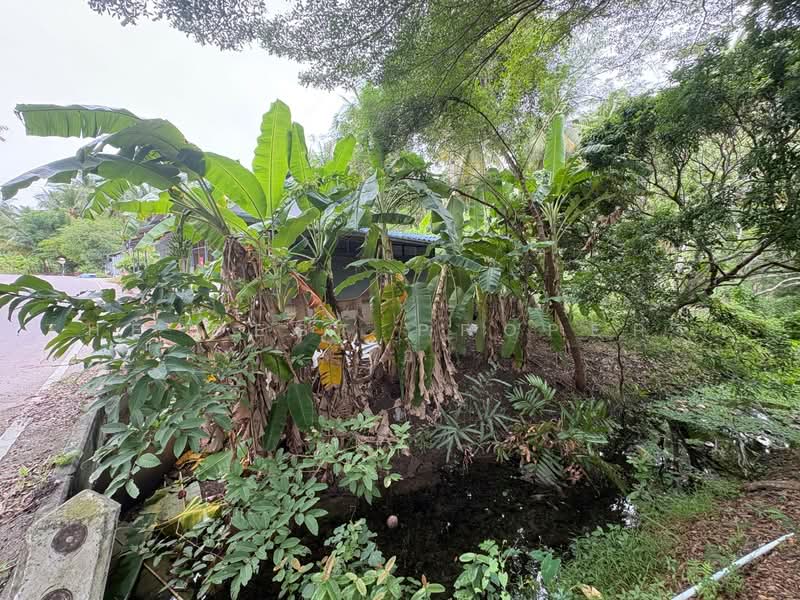 บ้านเดี่ยวพร้อมที่ดินบางคนที สมุทรสงคราม, สมุทรสงคราม, บางยี่รงค์, บางคนที, สมุทรสงคราม, 150 ตร.ม., บ้านเดี่ยว ขาย, โดย The Best Property อ้อ, 500492908 - DDproperty.com