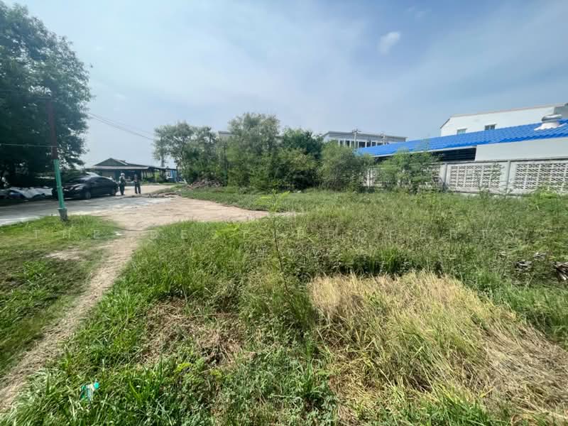 ที่ดินบางเมือง สมุทรปราการ, สมุทรปราการ, บางเมือง, เมืองสมุทรปราการ, สมุทรปราการ, 3,232 ตร.ม., ที่ดิน ขาย, โดย The Best Property พัช, 500492923 - DDproperty.com