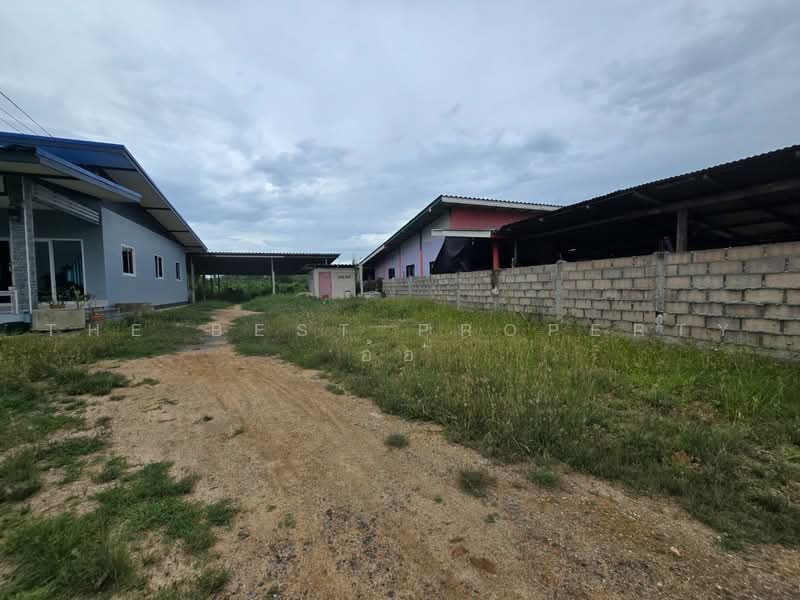 บ้านเดี่ยวพร้อมที่ดินบางคนที สมุทรสงคราม, Samut Songkhram, Bang Yi Rong, Bang Khon Ti, Samut Songkhram, 1 Bedroom, 150 sqm, Single Detached House For Sale, by The Best Property อ้อ, 500492936 - DDproperty.com
