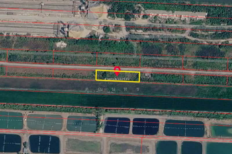 ลำลูกกา คลอง 12, ปทุมธานี, ถนนลำลูกกา, ลำไทร, ลำลูกกา, ปทุมธานี, 1,600 ตร.ม., ที่ดิน ขาย, โดย คุณนทร, 500492967 - DDproperty.com