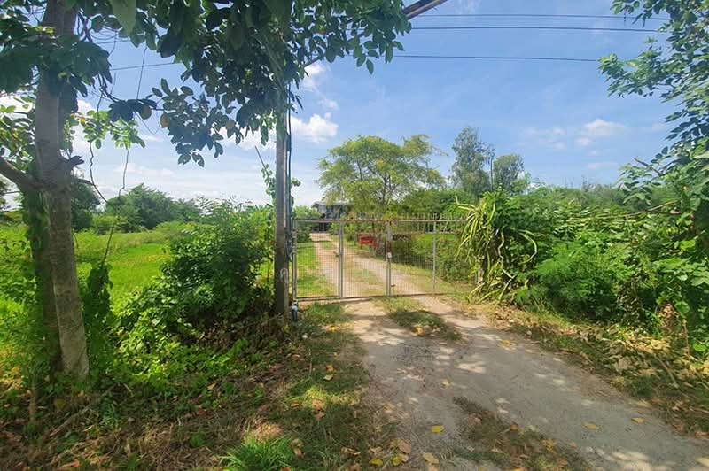 ขายที่ดิน 2 ไร่ 115 ตร.ว.ใกล้ อบต.ท่าข้าม พนัสนิคม ชลบุรี พร้อมบ้าน 1 หลัง, Chon Buri (Pattaya), ถนนพนัสนิคม-ฉะเชิงเทรา, Tha Kham, Phanat Nikhom, Chon Buri (Pattaya), , 3,660 sqm, Land For Sale, by คุณนุ่น, 500493075 - DDproperty.com