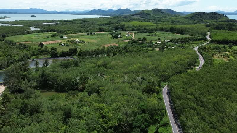 ขายที่ดินทำเลศักยภาพสูง “เทพกระษัตรี - ถลาง - ภูเก็ต” ใกล้สนามบิน, ภูเก็ต, เทพกระษัตรี, ถลาง, ภูเก็ต, 43,872 ตร.ม., ที่ดิน ขาย, โดย ธนา สิพา, 500493092 - DDproperty.com