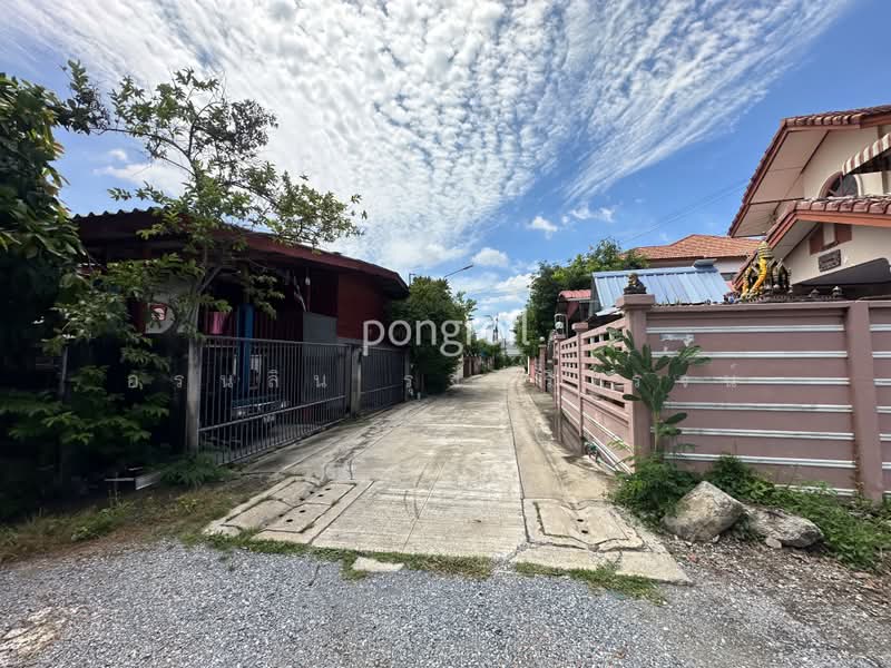 ที่ดิน 447.7 ซ.วัดพระเงิน ตรงข้าม Foody Farm Community Mall, นนทบุรี, บางม่วง, บางใหญ่, นนทบุรี, 1,779 ตร.ม., ที่ดิน ขาย, โดย อรนลิน รุ่งศิริโรจน์, 500493241 - DDproperty.com