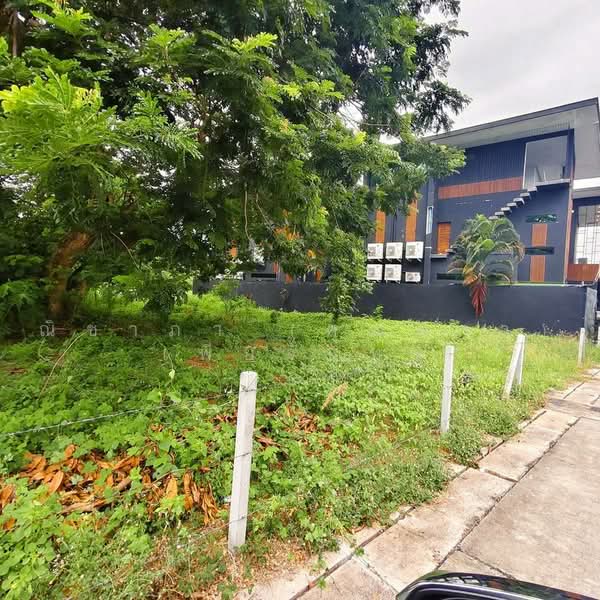 Land For sale Pattaya, Chon Buri (Pattaya), ซอยชัยพฤกษ์ 1 , ซอยวัดบุญกาจนา, Nong Pru, Bang Lamung (Pattaya), Chon Buri (Pattaya), , 2,908 sqm, Land For Sale, by Nichapa Phiachan, 500493341 - DDproperty.com