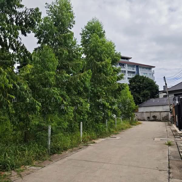 Land For sale Pattaya, Chon Buri (Pattaya), ซอยชัยพฤกษ์ 1 , ซอยวัดบุญกาจนา, Nong Pru, Bang Lamung (Pattaya), Chon Buri (Pattaya), , 2,908 sqm, Land For Sale, by Nichapa Phiachan, 500493341 - DDproperty.com