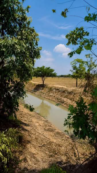 suphanburi, Suphan Buri, Thale Bok, Don Chedi, Suphan Buri, , 1,600 sqm, Land For Sale, by Wassana Hmorsomsakul, 500493396 - DDproperty.com