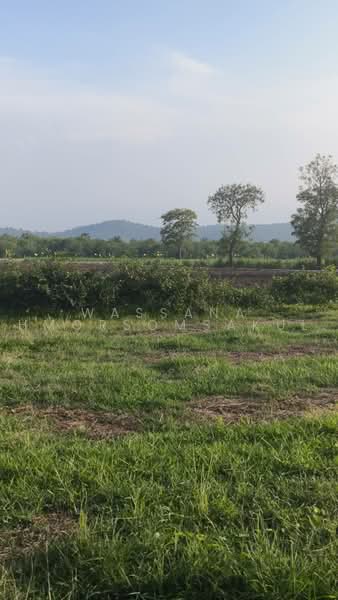 suphanburi, Suphan Buri, Phapphachai, U Thong, Suphan Buri, , 400 sqm, Land For Sale, by Wassana Hmorsomsakul, 500493416 - DDproperty.com