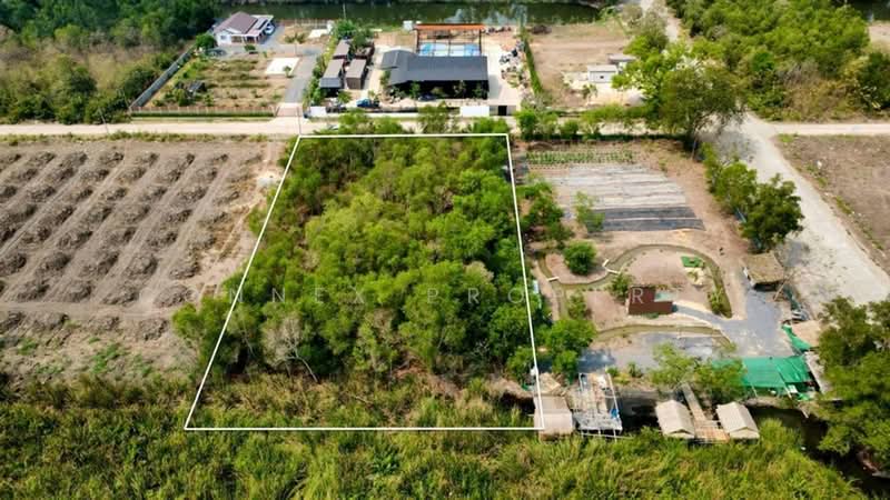ที่ดินคลอง 2 คลองหลวง, ปทุมธานี, , คลองสอง, คลองหลวง, ปทุมธานี, 3,200 ตร.ม., ที่ดิน ขาย, โดย Connex Property, 500493465 - DDproperty.com