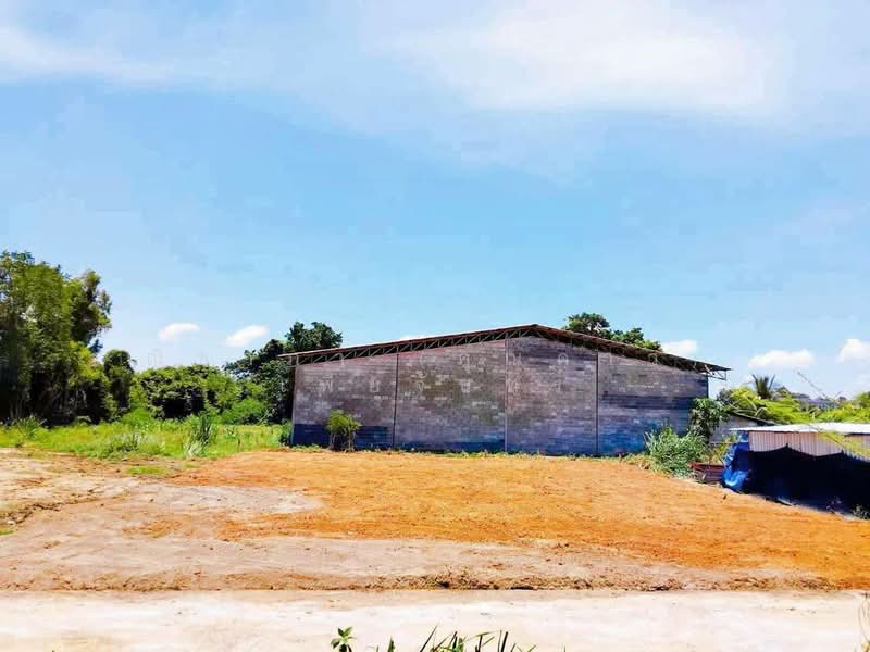 Land for sale, Chon Buri (Pattaya), ถนนซอยวัดหนองจับเต่า, Na Chom Thian, Sattahip, Chon Buri (Pattaya), , 500 sqm, Land For Sale, by Nichapa Phiachan, 500493471 - DDproperty.com