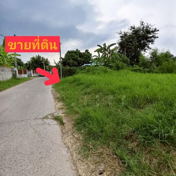 ใกล้ถนนมิตรภาพ , ใกล้มหาลัยขอนแก่น บ้านสำราญ ตำบลสำราญ อำเภอเมืองขอนแก่น จังหวัดขอนแก่น, ขอนแก่น, ใกล้ถนนมิตรภาพ - ขอนแก่น, สำราญ, เมืองขอนแก่น, ขอนแก่น, 1,056 ตร.ม., ที่ดิน ขาย, โดย ณิชาภา (คุณดาว) เพียจันทร์, 500493538 - DDproperty.com
