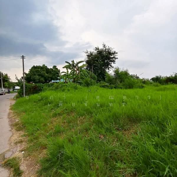 ใกล้ถนนมิตรภาพ , ใกล้มหาลัยขอนแก่น บ้านสำราญ ตำบลสำราญ อำเภอเมืองขอนแก่น จังหวัดขอนแก่น, ขอนแก่น, ใกล้ถนนมิตรภาพ - ขอนแก่น, สำราญ, เมืองขอนแก่น, ขอนแก่น, 1,056 ตร.ม., ที่ดิน ขาย, โดย ณิชาภา (คุณดาว) เพียจันทร์, 500493538 - DDproperty.com