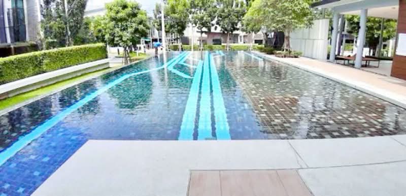 ไม่พบโครงการ, Nonthaburi, รัตนาธิเบศร์ บางรักใหญ่ 14-20, Bang Rak Yai, Bang Bua Thong, Nonthaburi, 3 Bedrooms, 170 sqm, Single Detached House For Rent, by ณัฐพงศ์ สุนทรอรุณ, 500493579 - DDproperty.com