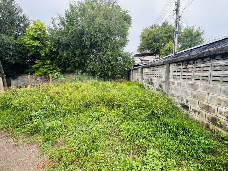 ที่ดินบ้านใต้ กาญจนาบุรี, กาญจนบุรี, บ้านใต้, เมืองกาญจนบุรี, กาญจนบุรี, 346 ตร.ม., ที่ดิน ขาย, โดย The Best Property กุ้ง, 500493596 - DDproperty.com