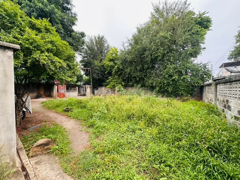 ที่ดินบ้านใต้ กาญจนาบุรี, Kanchanaburi, Ban-Tai, Muang Kanchanaburi, Kanchanaburi, , 346 sqm, Land For Sale, by The Best Property กุ้ง, 500493596 - DDproperty.com