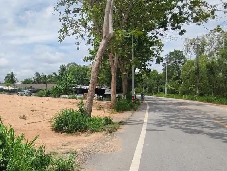 Land for sale in Nong Prue, Pattaya, 1 rai, already filled and leveled, Soi Pornprapanimit 34, Chon Buri (Pattaya), Nong Pru, Bang Lamung (Pattaya), Chon Buri (Pattaya), , 1,660 sqm, Land For Sale, by RICHWELL INTERPLUS, 500493598 - DDproperty.com
