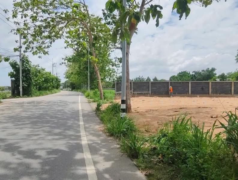 Land for sale in Nong Prue, Pattaya, 1 rai, already filled and leveled, Soi Pornprapanimit 34, Chon Buri (Pattaya), Nong Pru, Bang Lamung (Pattaya), Chon Buri (Pattaya), , 1,660 sqm, Land For Sale, by RICHWELL INTERPLUS, 500493598 - DDproperty.com
