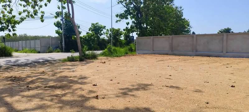 Land for sale in Nong Prue, Pattaya, 1 rai, already filled and leveled, Soi Pornprapanimit 34, Chon Buri (Pattaya), Nong Pru, Bang Lamung (Pattaya), Chon Buri (Pattaya), , 1,660 sqm, Land For Sale, by RICHWELL INTERPLUS, 500493598 - DDproperty.com