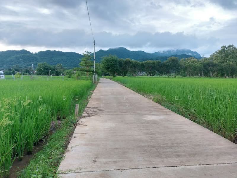 ที่ดินแม่สาย เชียงราย, เชียงราย, ห้วยไคร้, แม่สาย, เชียงราย, 1,600 ตร.ม., ที่ดิน ขาย, โดย The Best Property ต้าร์, 500493608 - DDproperty.com