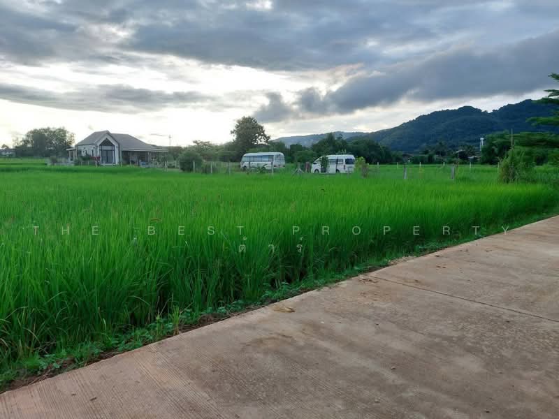 ที่ดินแม่สาย เชียงราย, Chiang Rai, Huai Khrai, Mae Sai, Chiang Rai, , 1,600 sqm, Land For Sale, by The Best Property ต้าร์, 500493608 - DDproperty.com