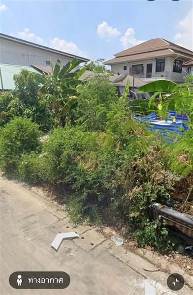ที่ดินเปล่า 50 ตร.ว. ที่ดินเปล่า ซอยเทพกุญชร24, ปทุมธานี, ถนนพหลโยธิน, คลองหนึ่ง, คลองหลวง, ปทุมธานี, 200 ตร.ม., ที่ดิน ขาย, โดย คุณ นุชนาฏ ปทุมสูตร (จ๋า), 500493614 - DDproperty.com