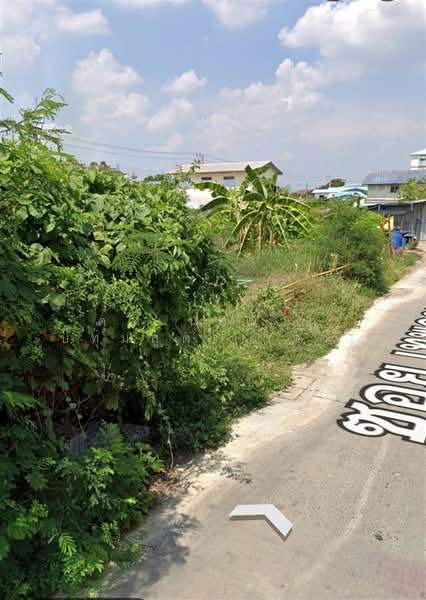 ที่ดินเปล่า 50 ตร.ว. ที่ดินเปล่า ซอยเทพกุญชร24, ปทุมธานี, ถนนพหลโยธิน, คลองหนึ่ง, คลองหลวง, ปทุมธานี, 200 ตร.ม., ที่ดิน ขาย, โดย คุณ นุชนาฏ ปทุมสูตร (จ๋า), 500493614 - DDproperty.com