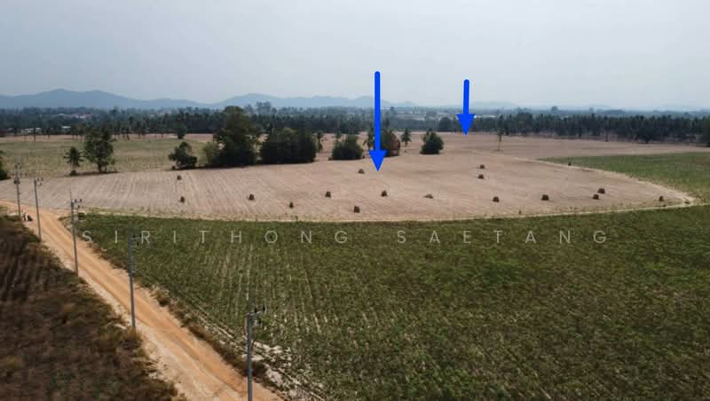 Land in Pattaya, Laem Chabang 49 rai (yellow zone) Takian Tia, Bang Lamung, Chonburi, Chon Buri (Pattaya), Ta Khian Tia, Bang Lamung (Pattaya), Chon Buri (Pattaya), , 78,400 sqm, Land For Sale, by Sirithong Saetang, 500493676 - DDproperty.com