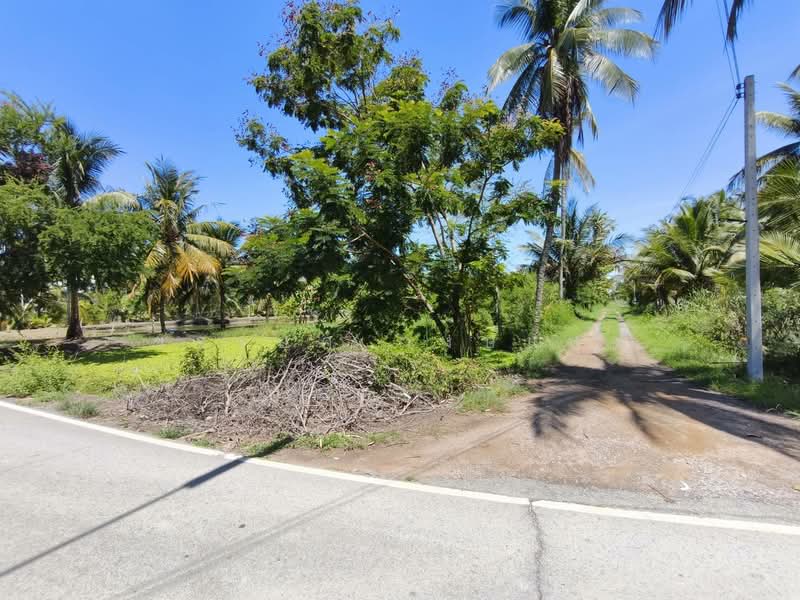 แพรกหนามแดง, Samut Songkhram, Phraek Nam Daeng, Amphawa, Samut Songkhram, , 5,952 sqm, Land For Sale, by ขจรยศ วงษ์แสง, 500493788 - DDproperty.com
