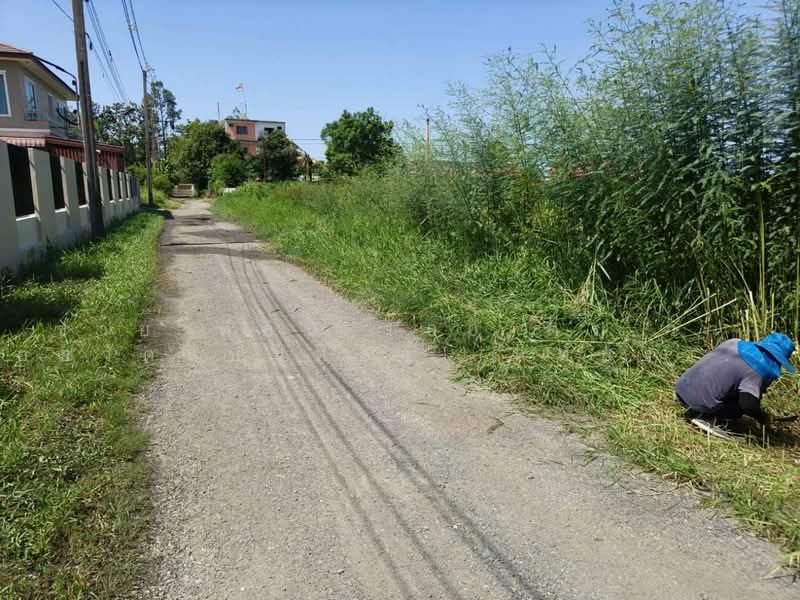ขาย ที่ดิน 100 ตร.วา ซอยวัดแป้นทอง (หทัยราษฎร์39)ราคาถูกที่สุดในย่านนี, กรุงเทพ, สามวาตะวันตก, คลองสามวา, กรุงเทพ, 400 ตร.ม., ที่ดิน ขาย, โดย โชค, 500493813 - DDproperty.com