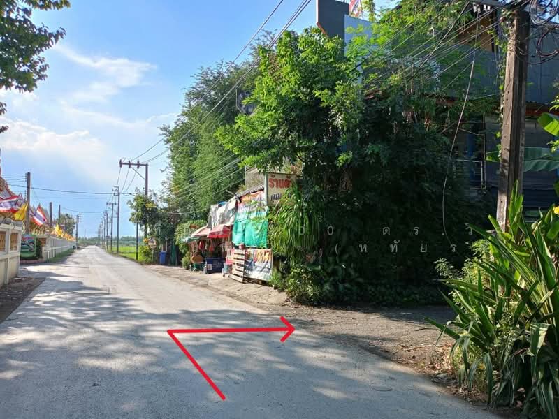 ขาย ที่ดิน 100 ตร.วา ซอยวัดแป้นทอง (หทัยราษฎร์39)ราคาถูกที่สุดในย่านนี, กรุงเทพ, สามวาตะวันตก, คลองสามวา, กรุงเทพ, 400 ตร.ม., ที่ดิน ขาย, โดย โชค, 500493813 - DDproperty.com