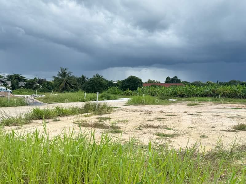 ที่ดินเหมืองง่า ลำพูน, ลำพูน, เหมืองง่า, เมืองลำพูน, ลำพูน, 200 ตร.ม., ที่ดิน ขาย, โดย The Best Property รัตน์, 500493829 - DDproperty.com