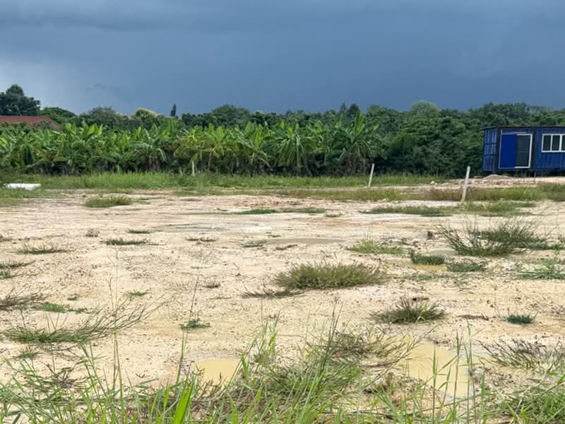 ที่ดินเหมืองง่า ลำพูน, Lamphun, Muang Nga, Muang Lamphun, Lamphun, , 200 sqm, Land For Sale, by The Best Property รัตน์, 500493829 - DDproperty.com