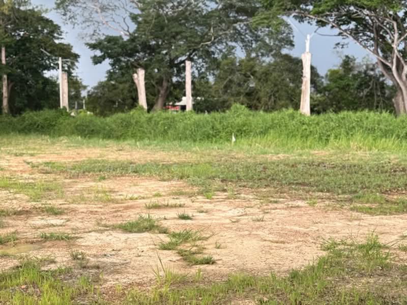 ที่ดินเหมืองง่า ลำพูน, ลำพูน, เหมืองง่า, เมืองลำพูน, ลำพูน, 200 ตร.ม., ที่ดิน ขาย, โดย The Best Property รัตน์, 500493829 - DDproperty.com