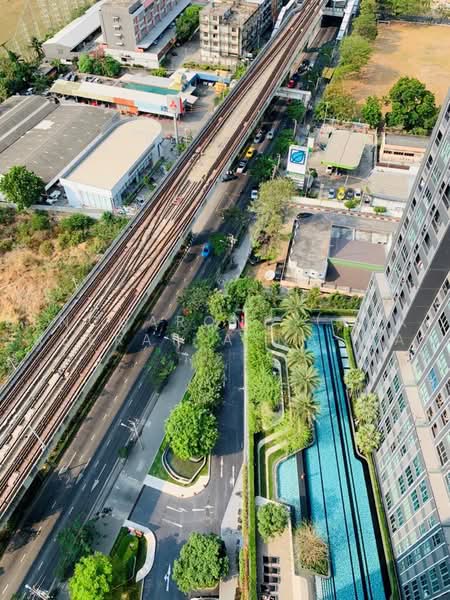 IDEO MOBI Sukhumvit Eastgate, Bangkok, 4371 Sukhumvit Road, Bang Na, Bangkok, 1 Bedroom, 31 sqm, Condo For Rent, by Bencharong (Yok) Treerat-a-na-wat, 500493988 - DDproperty.com