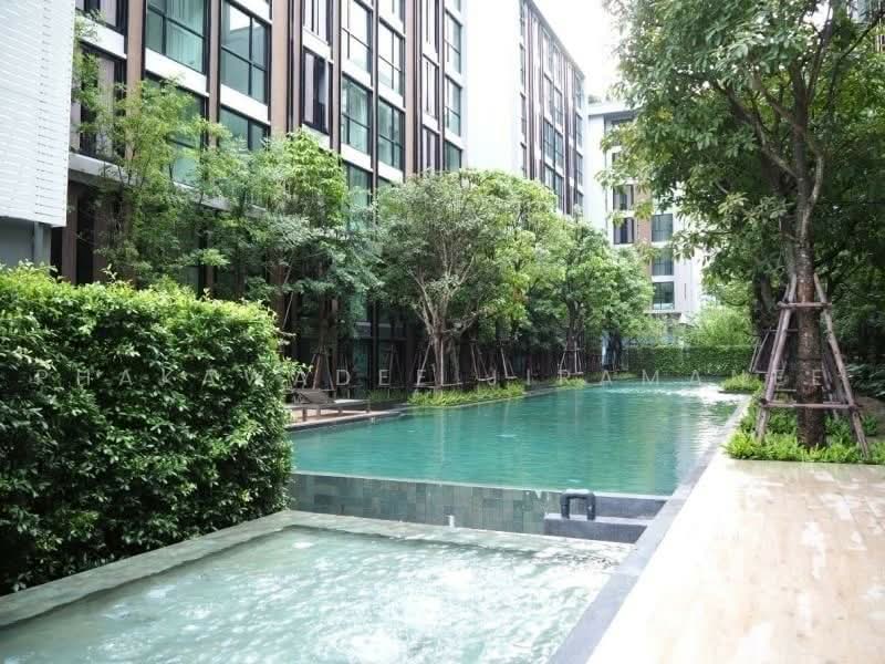 Vtara Sukhumvit 36, Bangkok, 118 Soi Saen Sabai, Phra Kanong, Khlong Toei, Bangkok, 2 Bedrooms, 58 sqm, Condo For Rent, by Phakawadee Jiramanee, 500493991 - DDproperty.com