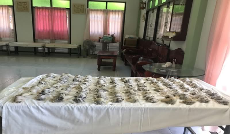Located on the Thap Sakae beach road, Prachuap Khiri Khan, Thap Sakae, Prachuap Khiri Khan, Studio, 2,960 sqm, Single Detached House For Sale, by ชนะชาติ นนท์ตา, 500494028 - DDproperty.com
