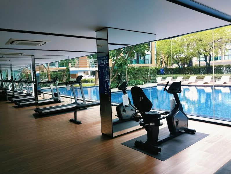 The Excel Hideaway Sukhumvit 50 : ดิ เอ็กเซล ไฮด์อะเวย์ สุขุมวิท 50, กรุงเทพ, 1112 ซอย ร่วมเจริญ, พระโขนง, คลองเตย, กรุงเทพ, 49 ตร.ม., คอนโด ให้เช่า, โดย Ramita Theptham, 500494257 - DDproperty.com