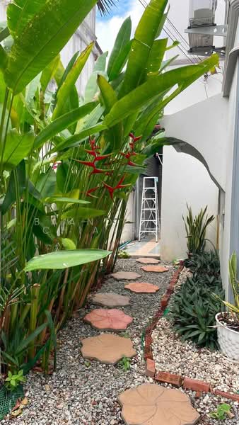Townhome for rent near Big C Mae Hia, Chiang Mai Rental Price:13,000THB/month Property ID: No.9H1092, Chiang Mai, Mae Hia, Muang Chiang Mai, Chiang Mai, 2 Bedrooms, 90 sqm, Townhouse For Rent, by Baandeedee Chiangmai, 500494376 - DDproperty.com