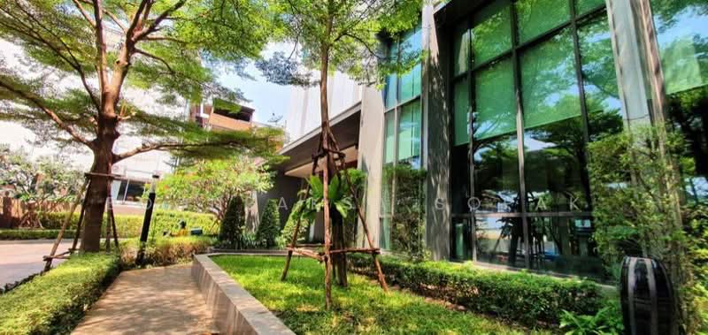 Q House Sukhumvit 79, Bangkok, 2059 Sukhumvit Road, Phra Kanong Nua, Watthana, Bangkok, 2 Bedrooms, 45 sqm, Condo For Rent, by Boonraksa Sopak, 500494430 - DDproperty.com