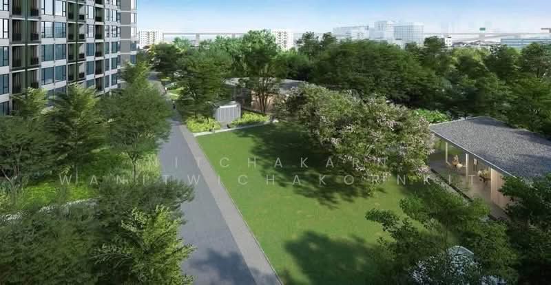 Skyrise Avenue Sukhumvit 64 : สกายไลน์ อเวนิว สุขุมวิท 64, กรุงเทพ, 3 ถนนสุขุมวิท 64, บางจาก, พระโขนง, กรุงเทพ, 45 ตร.ม., คอนโด ให้เช่า, โดย Nitchakarn Wanitwichakornkit, 500494466 - DDproperty.com