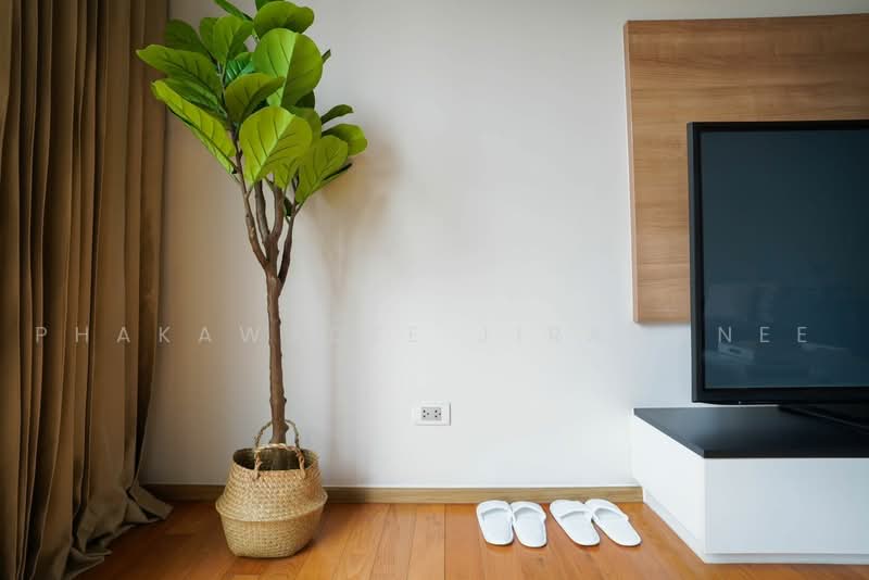 The Tempo Ruamrudee, Bangkok, Ruamrudee, Lumphini, Pathum Wan, Bangkok, 1 Bedroom, 50 sqm, Condo For Rent, by Phakawadee Jiramanee, 500494476 - DDproperty.com