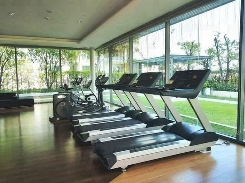 The Room Sukhumvit 62 : เดอะรูม สุขุมวิท 62, กรุงเทพ, 2288 ถ.สุขุมวิท, บางจาก, พระโขนง, กรุงเทพ, 76 ตร.ม., คอนโด ให้เช่า, โดย Boonraksa Sopak, 500494615 - DDproperty.com