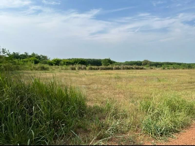 ที่ดินวังน้ำเย็น สระแก้ว, sa-kaeo, Wang Nam Yen, Sa Kaeo, , 14,216 sqm, Land For Sale, by The Best Property หญิง, 500494768 - DDproperty.com