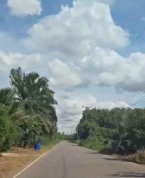 ที่ดินวังน้ำเย็น สระแก้ว, สระแก้ว, วังน้ำเย็น, สระแก้ว, 14,216 ตร.ม., ที่ดิน ขาย, โดย The Best Property หญิง, 500494768 - DDproperty.com