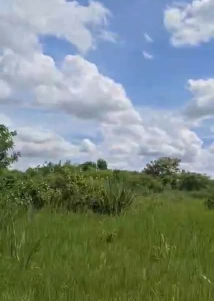ที่ดินวังน้ำเย็น สระแก้ว, sa-kaeo, Wang Nam Yen, Sa Kaeo, , 14,216 sqm, Land For Sale, by The Best Property หญิง, 500494768 - DDproperty.com