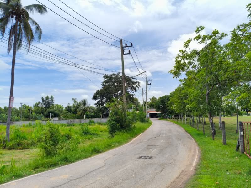 ที่ดินประโคนชัย บุรีรัมย์, บุรีรัมย์, ประโคนชัย, บุรีรัมย์, 2,404 ตร.ม., ที่ดิน ขาย, โดย The Best Property ยุ, 500495026 - DDproperty.com