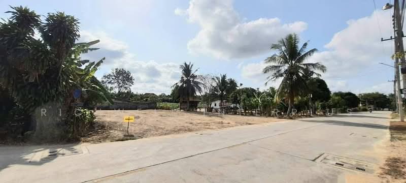 Land for sale in Takian Tia, 151 square wah, already filled and leveled. Located in Mab Wa Soi 11, Chon Buri (Pattaya), Ta Khian Tia, Bang Lamung (Pattaya), Chon Buri (Pattaya), , 604 sqm, Land For Sale, by RICHWELL INTERPLUS, 500495074 - DDproperty.com