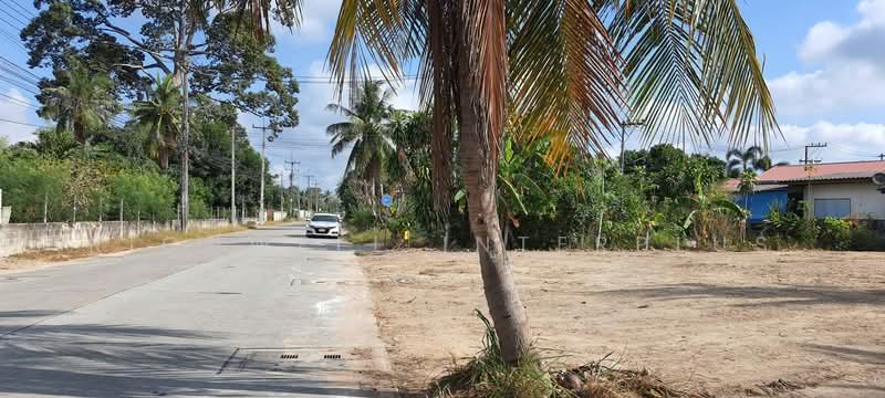 Land for sale in Takian Tia, 151 square wah, already filled and leveled. Located in Mab Wa Soi 11, Chon Buri (Pattaya), Ta Khian Tia, Bang Lamung (Pattaya), Chon Buri (Pattaya), , 604 sqm, Land For Sale, by RICHWELL INTERPLUS, 500495074 - DDproperty.com