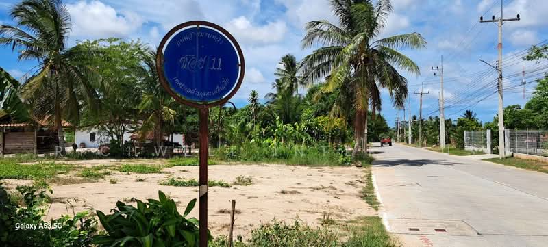Land for sale in Takian Tia, 151 square wah, already filled and leveled. Located in Mab Wa Soi 11, Chon Buri (Pattaya), Ta Khian Tia, Bang Lamung (Pattaya), Chon Buri (Pattaya), , 604 sqm, Land For Sale, by RICHWELL INTERPLUS, 500495074 - DDproperty.com